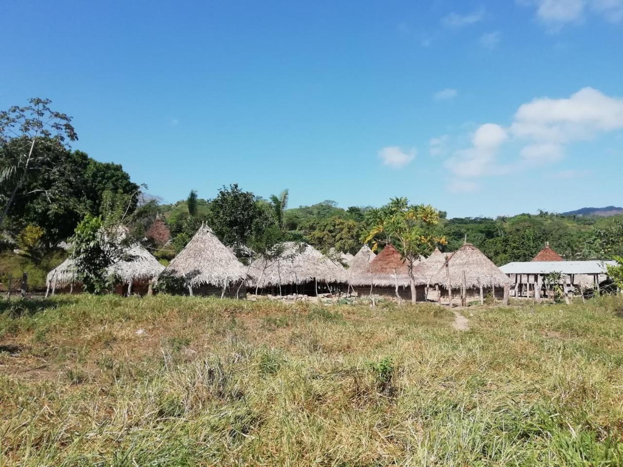 Palomino- Hostel Balneario Rio Ancho المظهر الخارجي الصورة