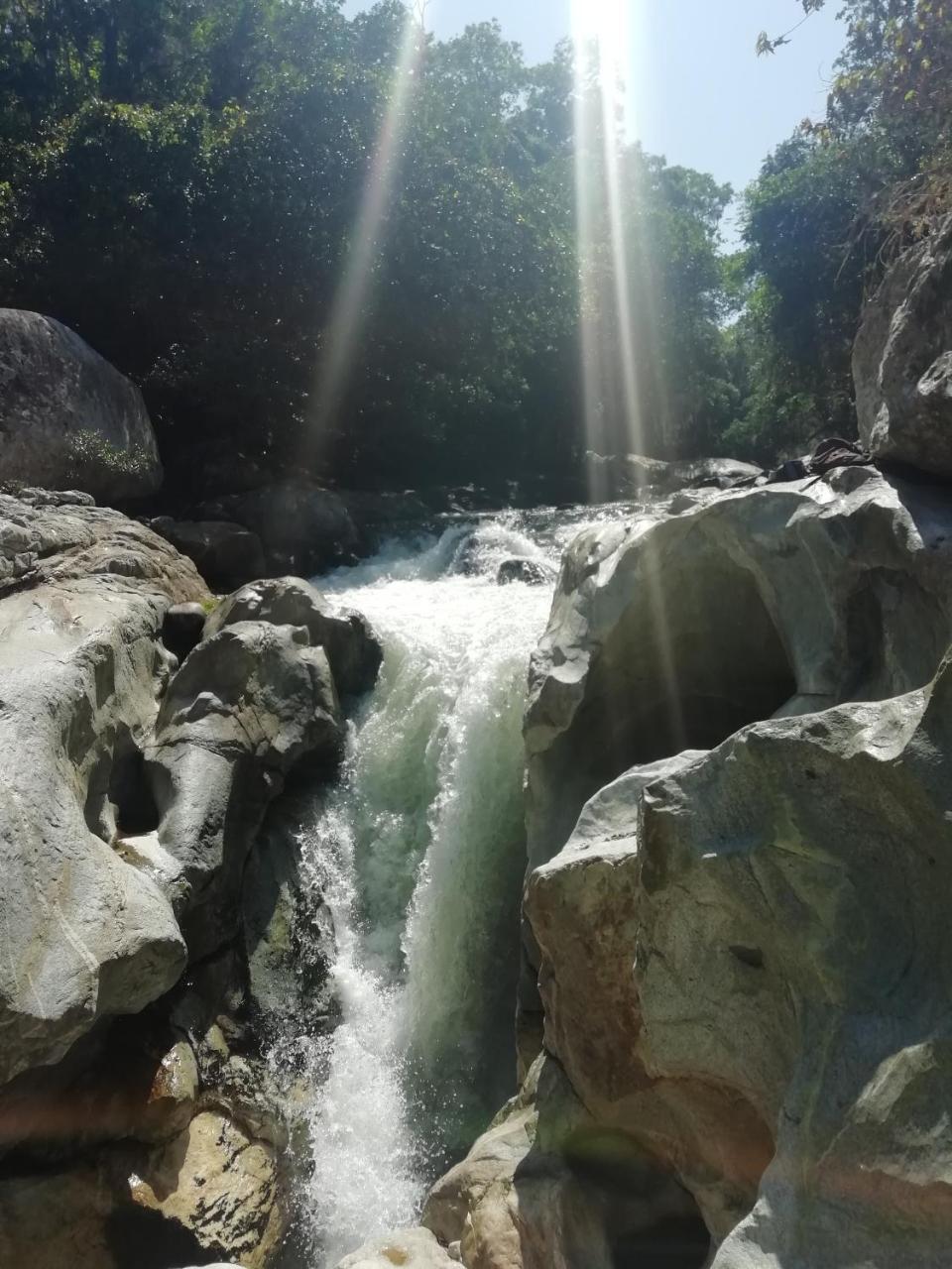 Palomino- Hostel Balneario Rio Ancho المظهر الخارجي الصورة